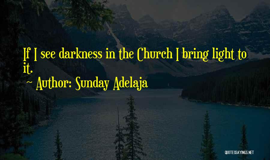 Sunday Adelaja Quotes: If I See Darkness In The Church I Bring Light To It.