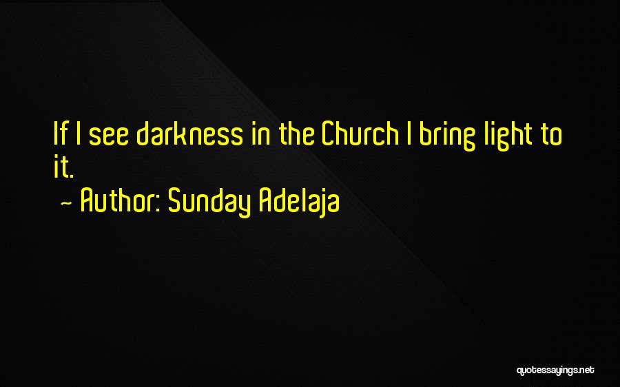 Sunday Adelaja Quotes: If I See Darkness In The Church I Bring Light To It.