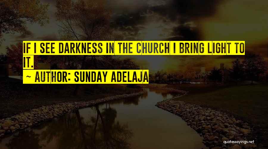 Sunday Adelaja Quotes: If I See Darkness In The Church I Bring Light To It.
