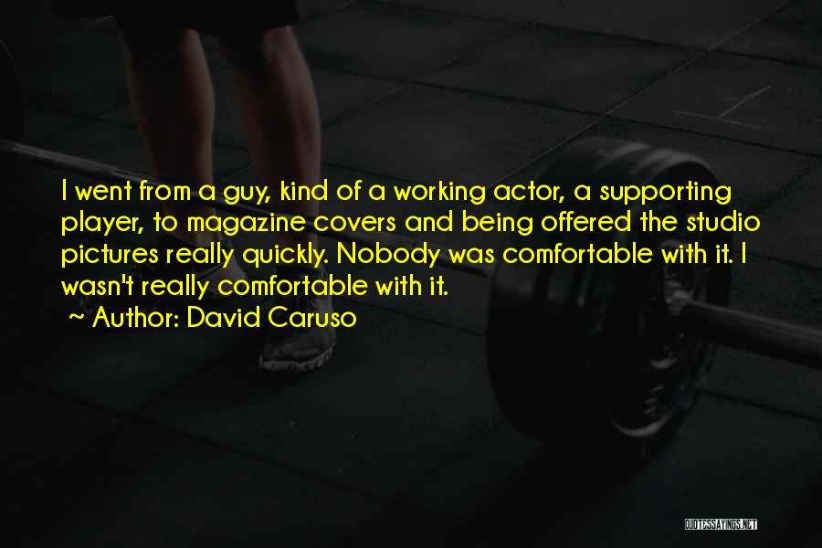 David Caruso Quotes: I Went From A Guy, Kind Of A Working Actor, A Supporting Player, To Magazine Covers And Being Offered The