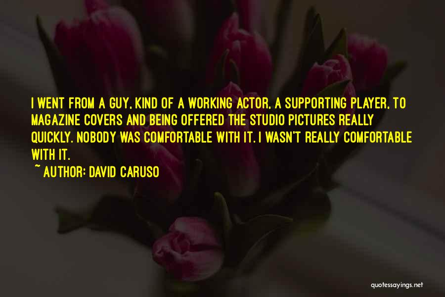 David Caruso Quotes: I Went From A Guy, Kind Of A Working Actor, A Supporting Player, To Magazine Covers And Being Offered The