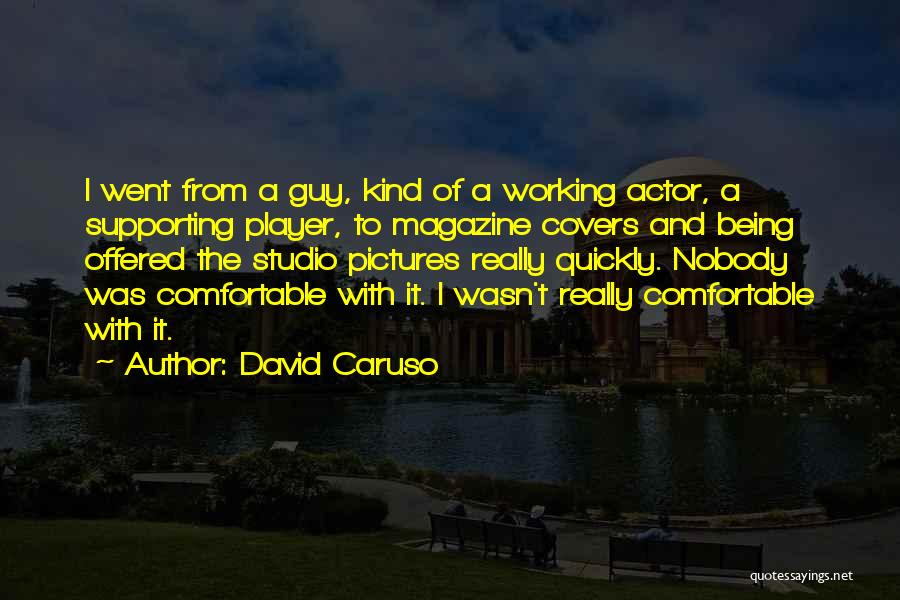 David Caruso Quotes: I Went From A Guy, Kind Of A Working Actor, A Supporting Player, To Magazine Covers And Being Offered The