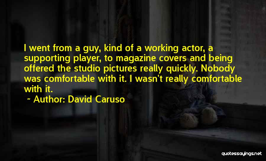 David Caruso Quotes: I Went From A Guy, Kind Of A Working Actor, A Supporting Player, To Magazine Covers And Being Offered The