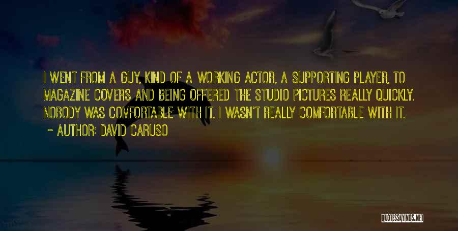 David Caruso Quotes: I Went From A Guy, Kind Of A Working Actor, A Supporting Player, To Magazine Covers And Being Offered The