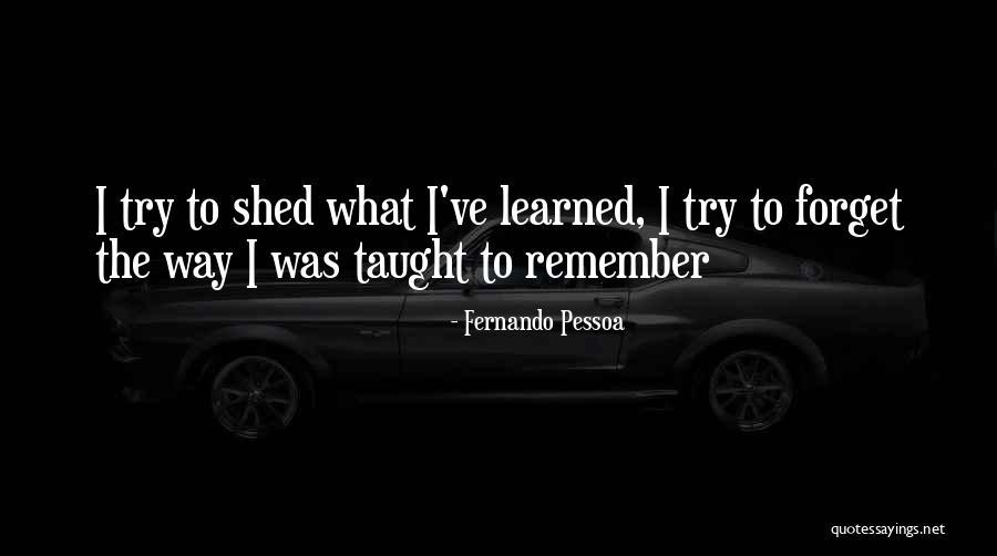 165 Cm Quotes By Fernando Pessoa 165 Cm Quotes By Fernando Pessoa