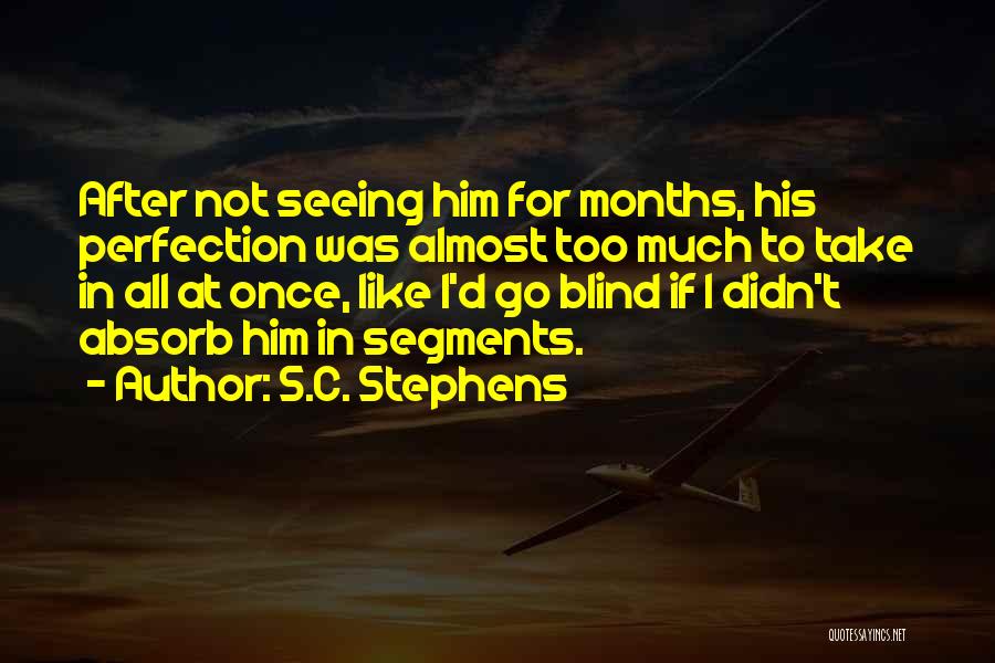 S.C. Stephens Quotes: After Not Seeing Him For Months, His Perfection Was Almost Too Much To Take In All At Once, Like I'd