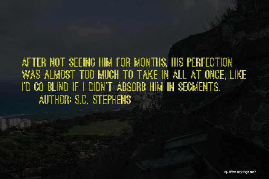 S.C. Stephens Quotes: After Not Seeing Him For Months, His Perfection Was Almost Too Much To Take In All At Once, Like I'd