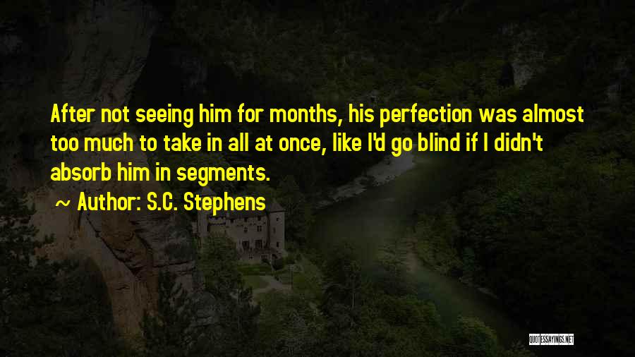 S.C. Stephens Quotes: After Not Seeing Him For Months, His Perfection Was Almost Too Much To Take In All At Once, Like I'd
