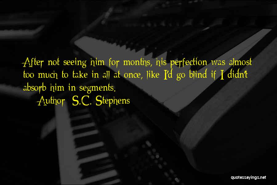 S.C. Stephens Quotes: After Not Seeing Him For Months, His Perfection Was Almost Too Much To Take In All At Once, Like I'd