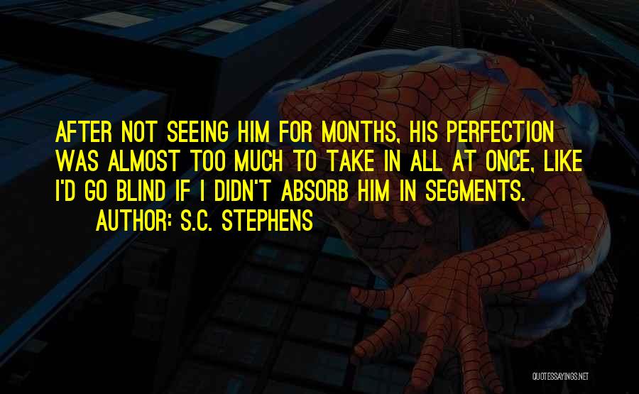 S.C. Stephens Quotes: After Not Seeing Him For Months, His Perfection Was Almost Too Much To Take In All At Once, Like I'd