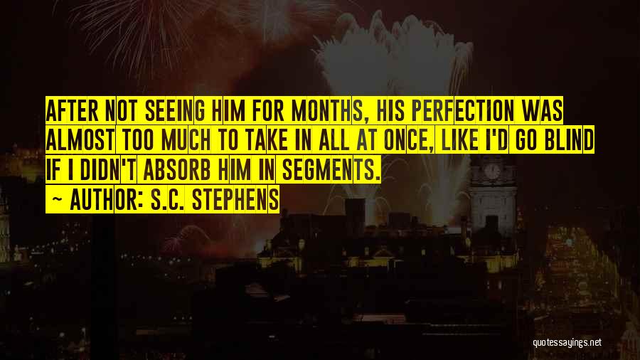 S.C. Stephens Quotes: After Not Seeing Him For Months, His Perfection Was Almost Too Much To Take In All At Once, Like I'd