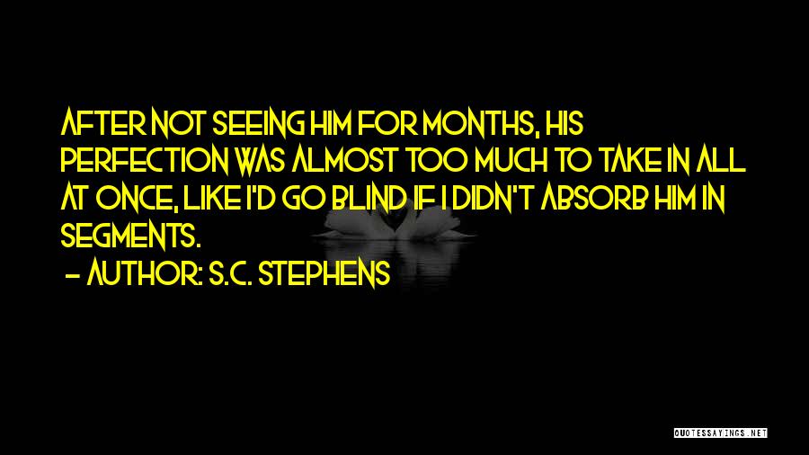 S.C. Stephens Quotes: After Not Seeing Him For Months, His Perfection Was Almost Too Much To Take In All At Once, Like I'd