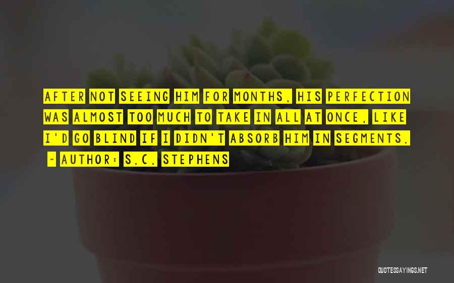 S.C. Stephens Quotes: After Not Seeing Him For Months, His Perfection Was Almost Too Much To Take In All At Once, Like I'd