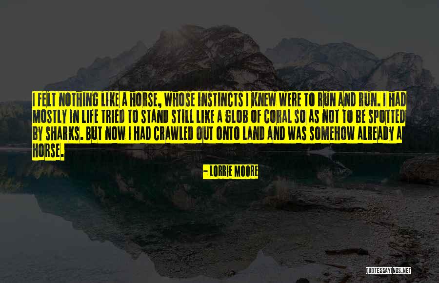 1651 Bulb Quotes By Lorrie Moore 1651 Bulb Quotes By Lorrie Moore