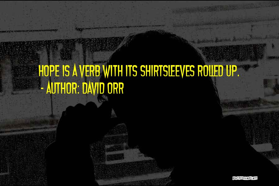 David Orr Quotes: Hope Is A Verb With Its Shirtsleeves Rolled Up.