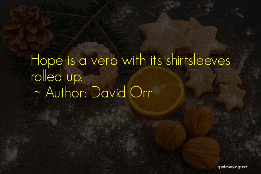 David Orr Quotes: Hope Is A Verb With Its Shirtsleeves Rolled Up.