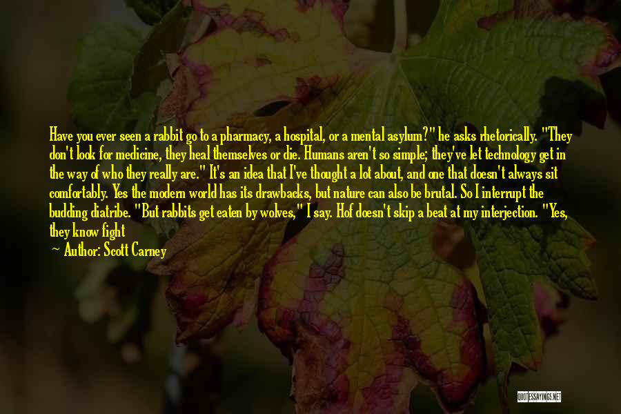 Scott Carney Quotes: Have You Ever Seen A Rabbit Go To A Pharmacy, A Hospital, Or A Mental Asylum? He Asks Rhetorically. They