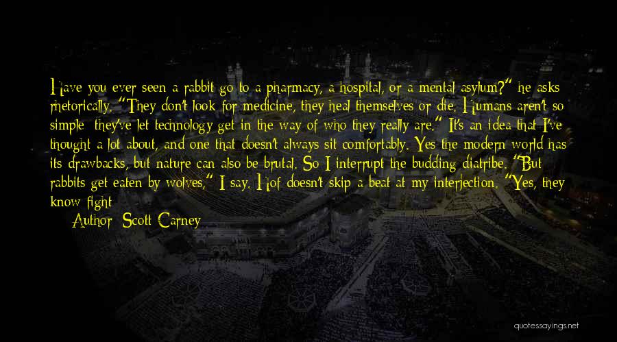 Scott Carney Quotes: Have You Ever Seen A Rabbit Go To A Pharmacy, A Hospital, Or A Mental Asylum? He Asks Rhetorically. They