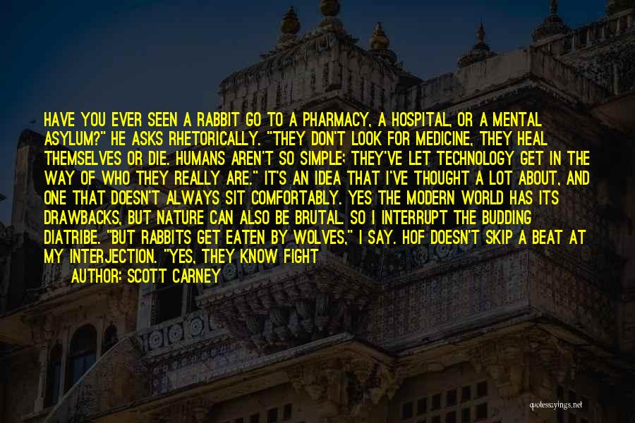 Scott Carney Quotes: Have You Ever Seen A Rabbit Go To A Pharmacy, A Hospital, Or A Mental Asylum? He Asks Rhetorically. They