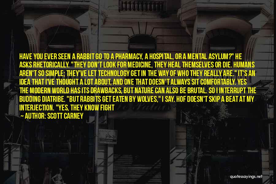 Scott Carney Quotes: Have You Ever Seen A Rabbit Go To A Pharmacy, A Hospital, Or A Mental Asylum? He Asks Rhetorically. They