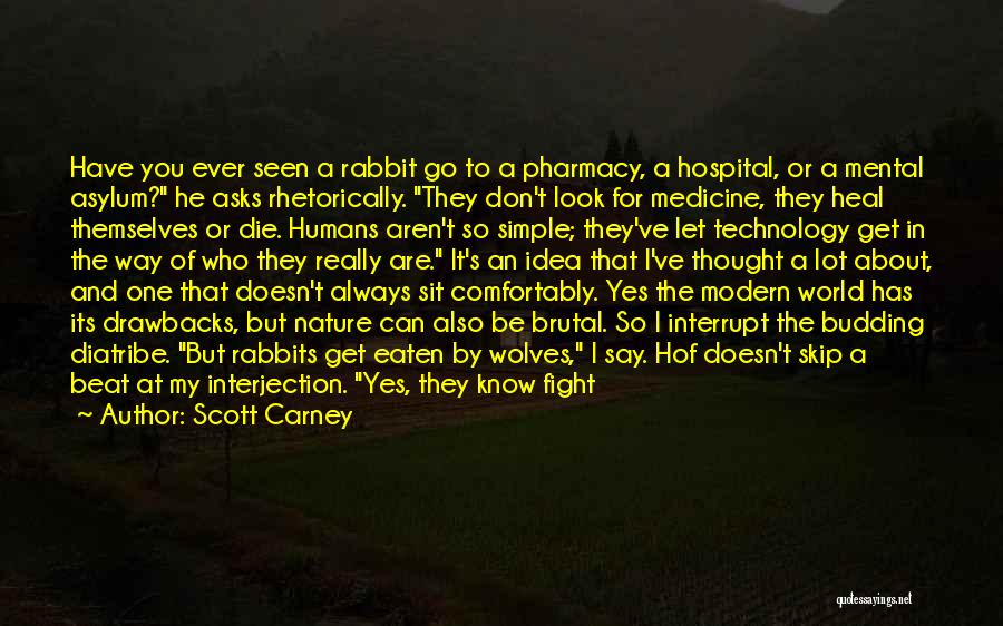 Scott Carney Quotes: Have You Ever Seen A Rabbit Go To A Pharmacy, A Hospital, Or A Mental Asylum? He Asks Rhetorically. They