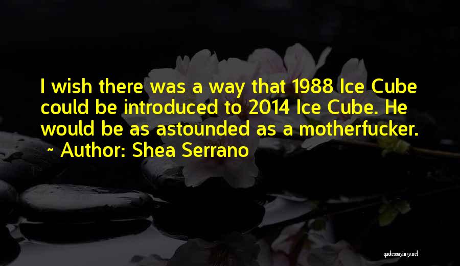 Shea Serrano Quotes: I Wish There Was A Way That 1988 Ice Cube Could Be Introduced To 2014 Ice Cube. He Would Be
