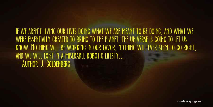 J. Goldenberg Quotes: If We Aren't Living Our Lives Doing What We Are Meant To Be Doing, And What We Were Essentially Created