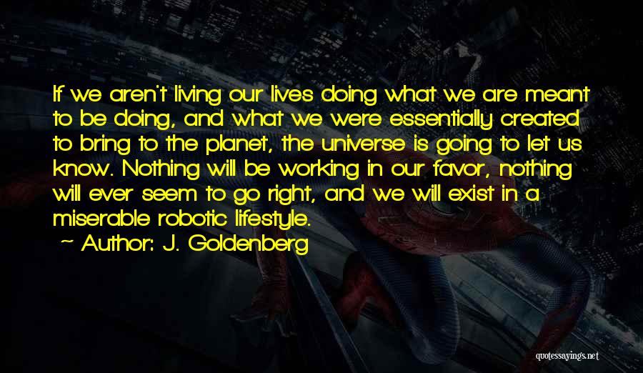 J. Goldenberg Quotes: If We Aren't Living Our Lives Doing What We Are Meant To Be Doing, And What We Were Essentially Created