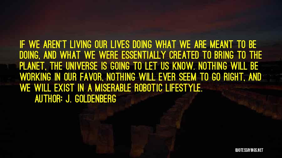 J. Goldenberg Quotes: If We Aren't Living Our Lives Doing What We Are Meant To Be Doing, And What We Were Essentially Created