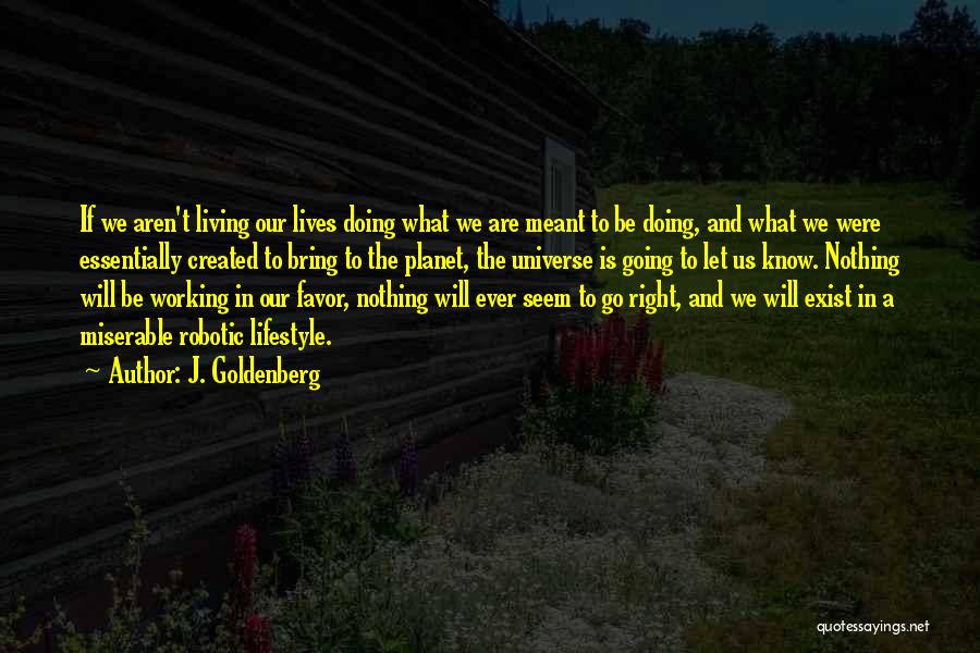 J. Goldenberg Quotes: If We Aren't Living Our Lives Doing What We Are Meant To Be Doing, And What We Were Essentially Created