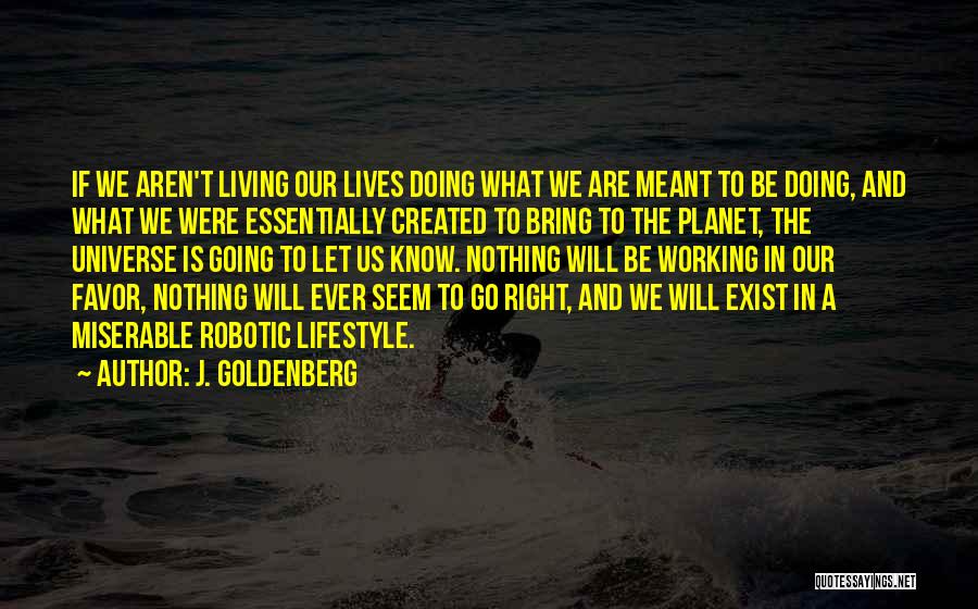 J. Goldenberg Quotes: If We Aren't Living Our Lives Doing What We Are Meant To Be Doing, And What We Were Essentially Created