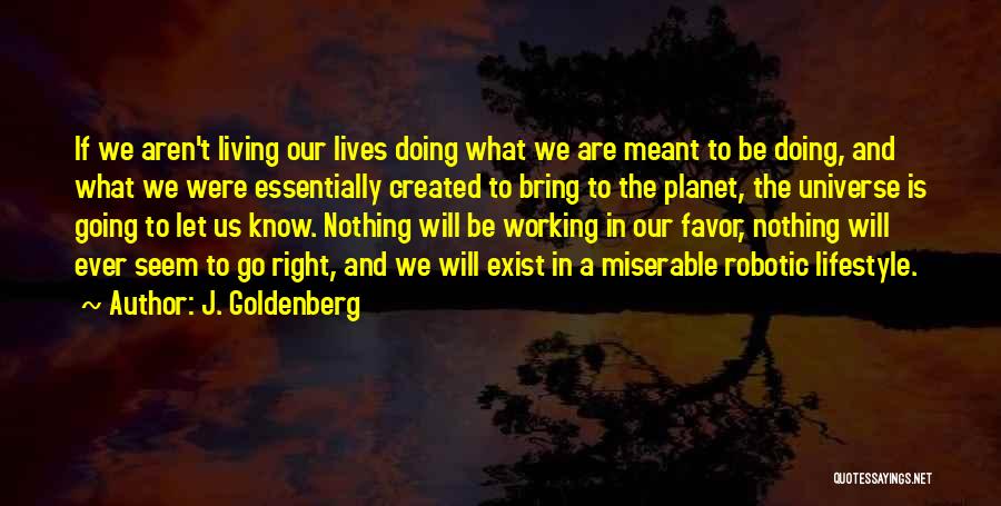 J. Goldenberg Quotes: If We Aren't Living Our Lives Doing What We Are Meant To Be Doing, And What We Were Essentially Created