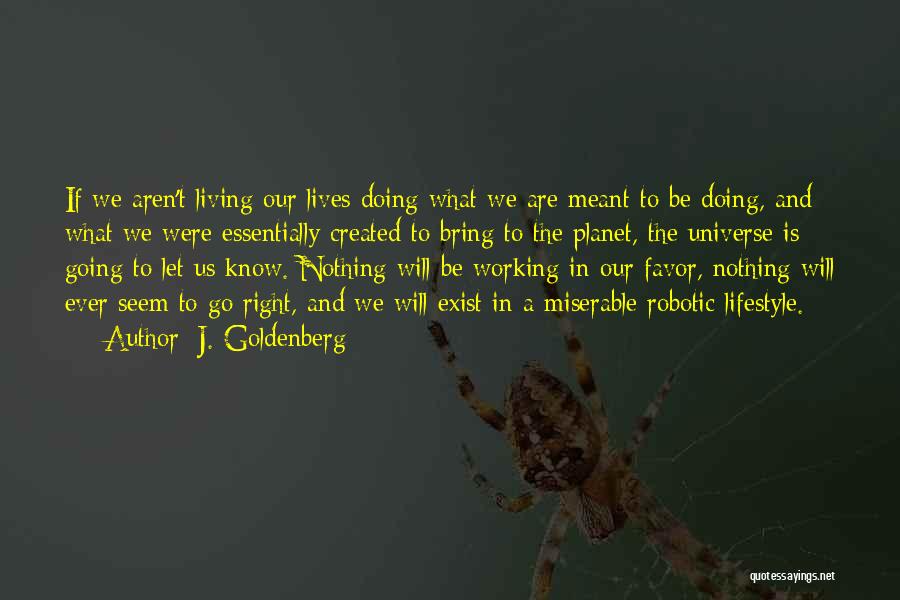 J. Goldenberg Quotes: If We Aren't Living Our Lives Doing What We Are Meant To Be Doing, And What We Were Essentially Created