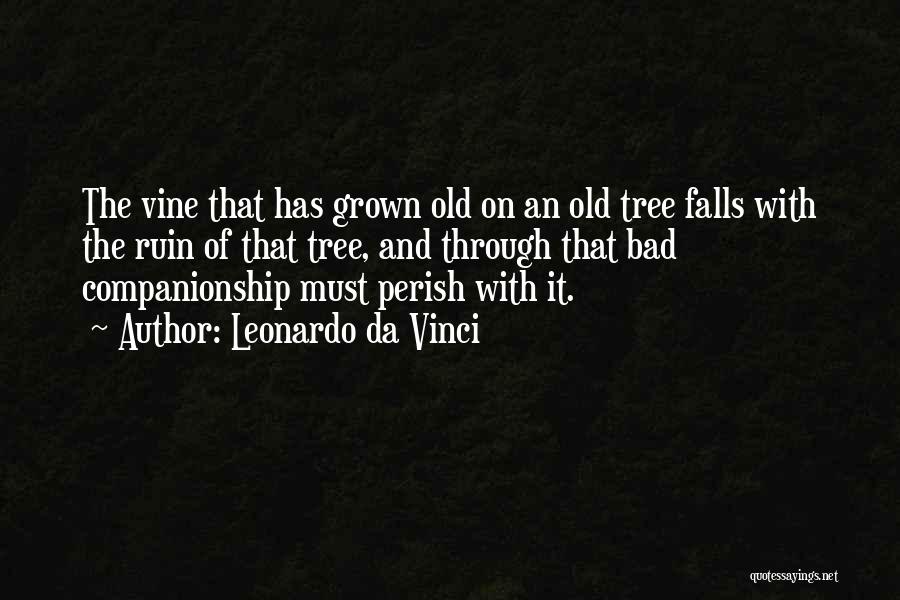 Leonardo Da Vinci Quotes: The Vine That Has Grown Old On An Old Tree Falls With The Ruin Of That Tree, And Through That