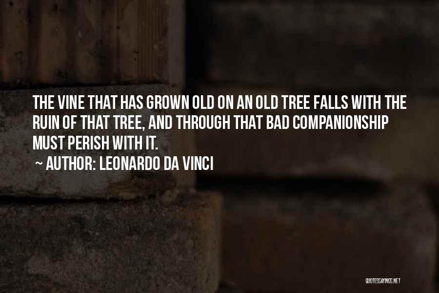 Leonardo Da Vinci Quotes: The Vine That Has Grown Old On An Old Tree Falls With The Ruin Of That Tree, And Through That