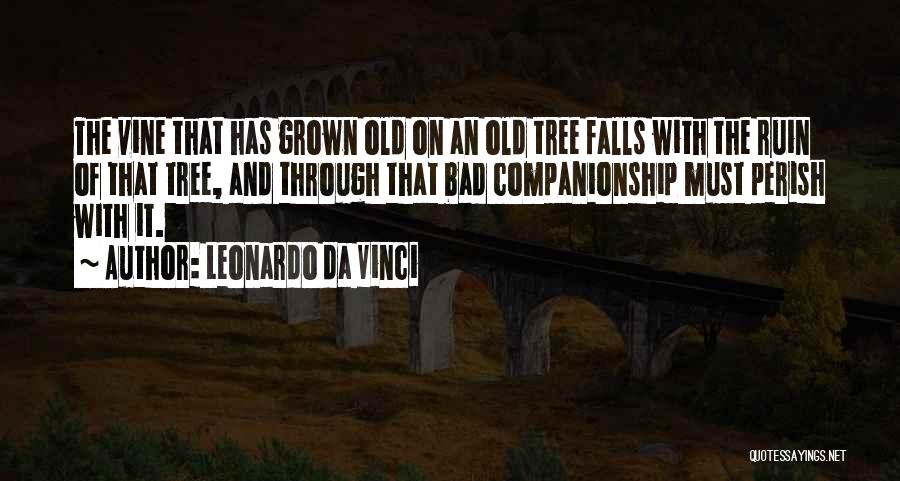Leonardo Da Vinci Quotes: The Vine That Has Grown Old On An Old Tree Falls With The Ruin Of That Tree, And Through That