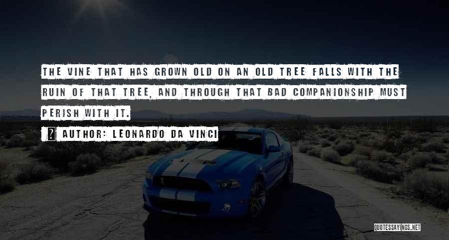 Leonardo Da Vinci Quotes: The Vine That Has Grown Old On An Old Tree Falls With The Ruin Of That Tree, And Through That