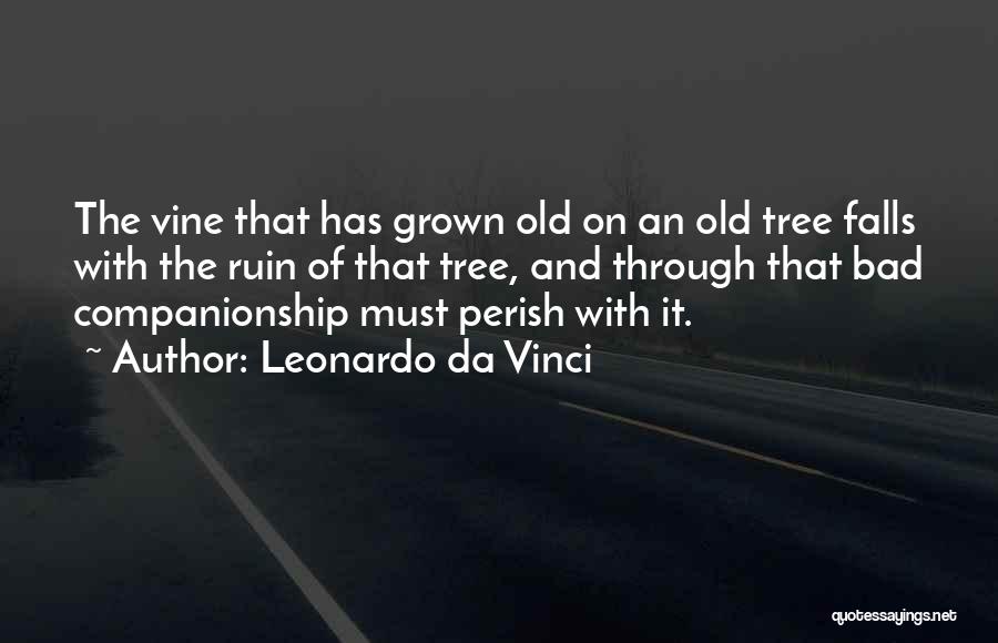 Leonardo Da Vinci Quotes: The Vine That Has Grown Old On An Old Tree Falls With The Ruin Of That Tree, And Through That