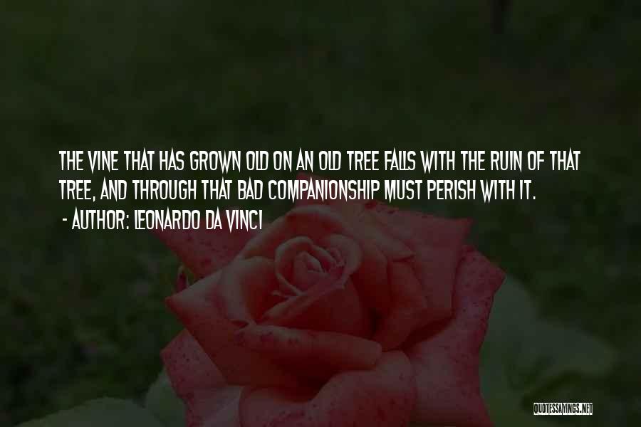 Leonardo Da Vinci Quotes: The Vine That Has Grown Old On An Old Tree Falls With The Ruin Of That Tree, And Through That