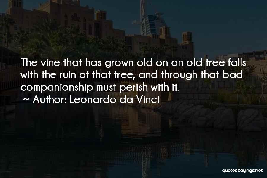 Leonardo Da Vinci Quotes: The Vine That Has Grown Old On An Old Tree Falls With The Ruin Of That Tree, And Through That