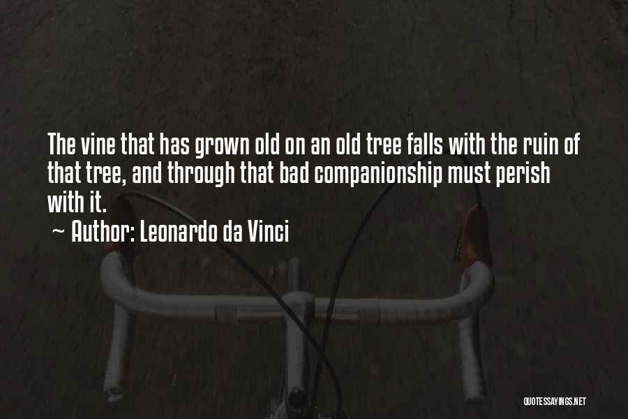 Leonardo Da Vinci Quotes: The Vine That Has Grown Old On An Old Tree Falls With The Ruin Of That Tree, And Through That