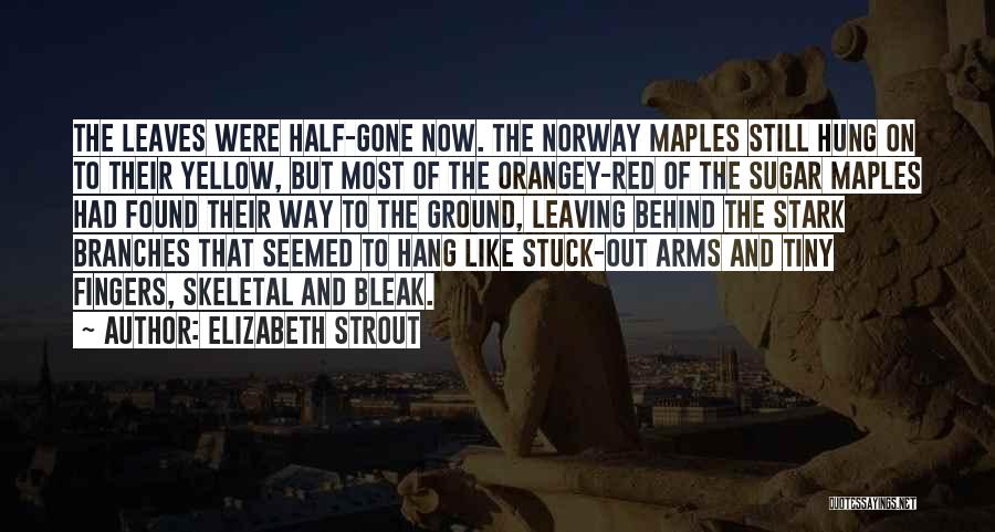 Elizabeth Strout Quotes: The Leaves Were Half-gone Now. The Norway Maples Still Hung On To Their Yellow, But Most Of The Orangey-red Of