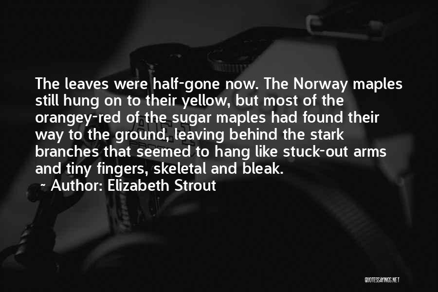 Elizabeth Strout Quotes: The Leaves Were Half-gone Now. The Norway Maples Still Hung On To Their Yellow, But Most Of The Orangey-red Of