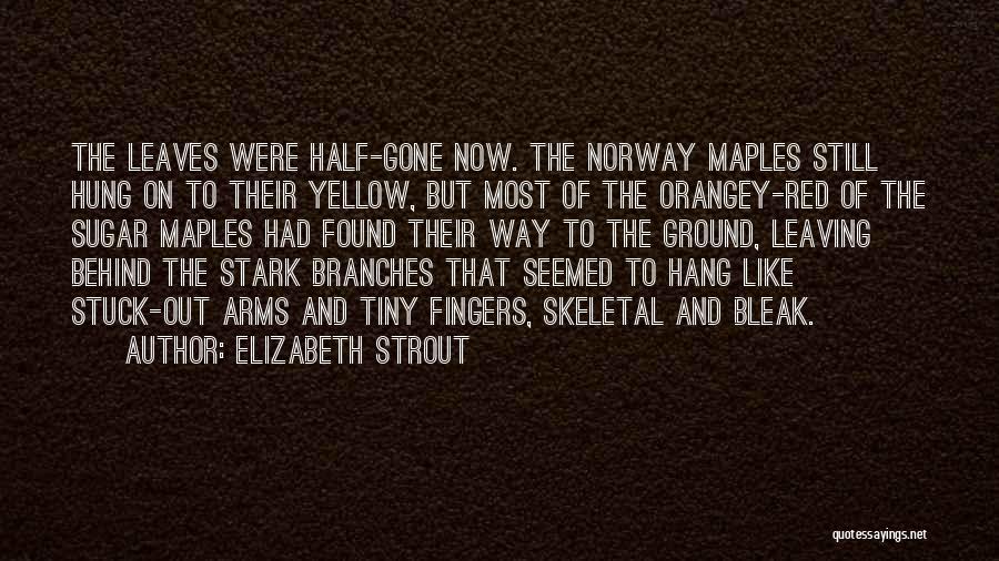 Elizabeth Strout Quotes: The Leaves Were Half-gone Now. The Norway Maples Still Hung On To Their Yellow, But Most Of The Orangey-red Of