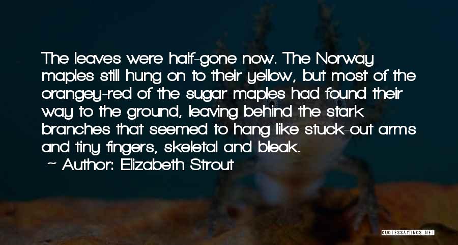 Elizabeth Strout Quotes: The Leaves Were Half-gone Now. The Norway Maples Still Hung On To Their Yellow, But Most Of The Orangey-red Of