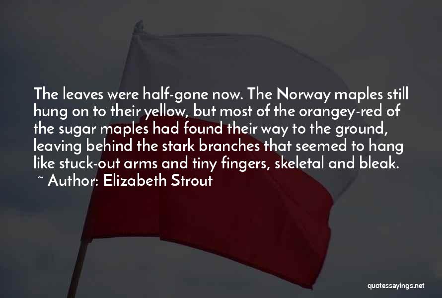 Elizabeth Strout Quotes: The Leaves Were Half-gone Now. The Norway Maples Still Hung On To Their Yellow, But Most Of The Orangey-red Of