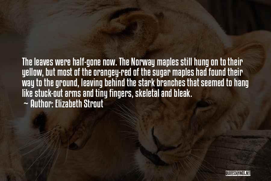 Elizabeth Strout Quotes: The Leaves Were Half-gone Now. The Norway Maples Still Hung On To Their Yellow, But Most Of The Orangey-red Of