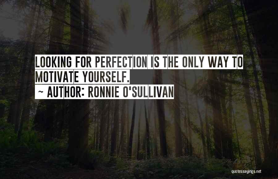 Ronnie O'Sullivan Quotes: Looking For Perfection Is The Only Way To Motivate Yourself.