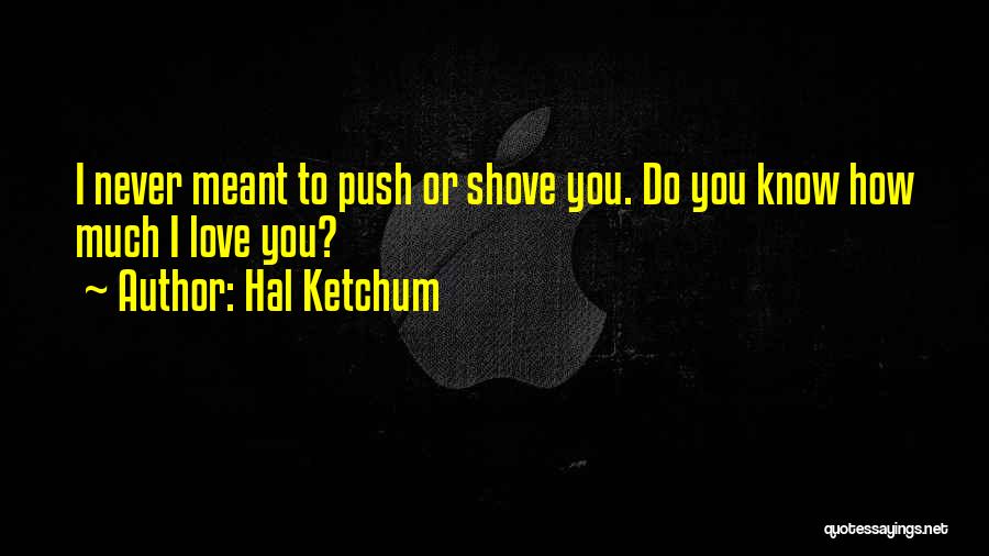 Hal Ketchum Quotes: I Never Meant To Push Or Shove You. Do You Know How Much I Love You?