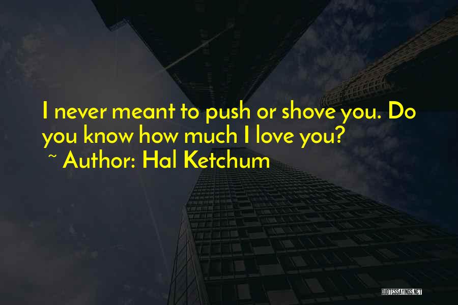 Hal Ketchum Quotes: I Never Meant To Push Or Shove You. Do You Know How Much I Love You?